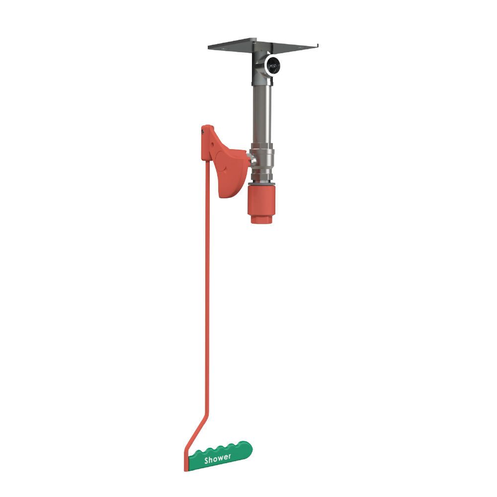 RVS Lichaamsdouche voor plafondmontage | EXP-23GS/V